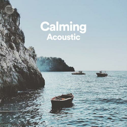 Acoustic Calm (Playlist)
