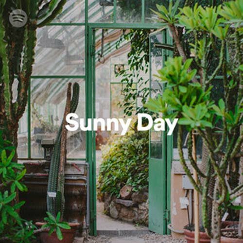 Sunny Day (Playlist)